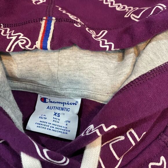 Champion purple sweatshirt Fleece Lined Purple - Picture 6 of 6